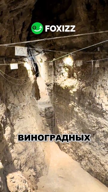 В Армении нашли винодельню, которой более 6000 лет - история вина началась здесь...