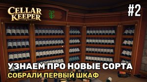 Собрали первый шкаф | Cellar Keeper #2