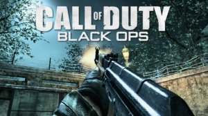 Call of duty Black ops прохождение финал ?