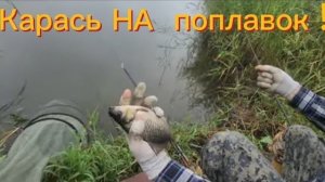 Нашел карасиное царство. Карась на удочку, на поплавок, устала рука тягать один за другим.
