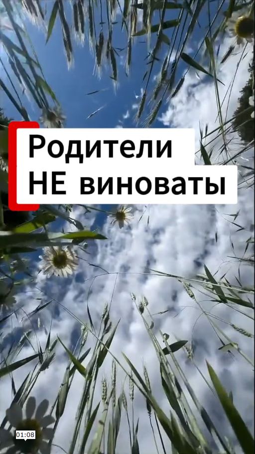 Родители не виноваты