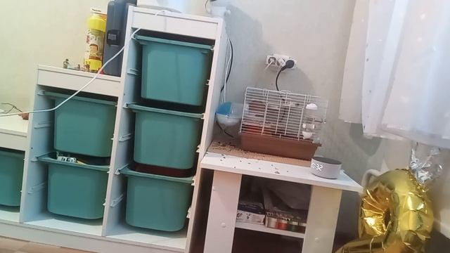 вещь впереди тебя убл создателя тавера также у меня: