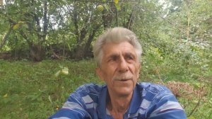 Под древом жизни