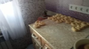 СПОРТ ⛹️🏋️🤸♂️🚴♀️и КАРАЛЬКИ
