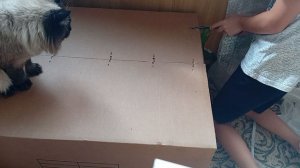 делаю коробку для штатива