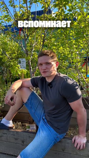 Подари дерево 🌴
