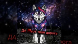 САВЕ ОТ СТАИ