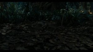 Властелин колец: Кольца власти / The Lord of the Rings: The Rings of Power сериал
