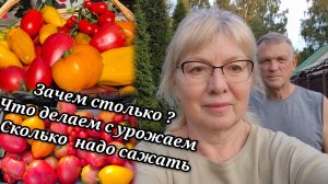 Что делать с урожаем? Нам поставили диагноз Как будем лечить Ультиматум от мужа