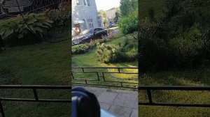 И цветочки освежила и себя не забыла