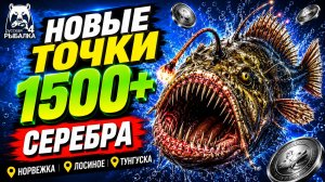 🤑 ТОП-3 ТОЧКИ ФАРМА и РАЗДАЧИ ТРОФОВ РР4 (08.08)! СВОДКА по ВОДОЕМАМ! НОРВЕЖКА • ЛОСИНОЕ • ОСТРОГ