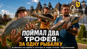 ПОЙМАЛ ТРОФЕЙНОГО ОСЕТРА И АМУРА. РАЗДАЧА КРУПНОГО КАРПА. Рыбалка в парк отеле «Орловский»