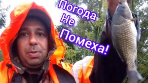 На рыбалку на новые места С разведкой на карася .