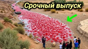 09-08-2026. ЧП❗КАТАКЛИЗМЫ❗КАТАСТРОФЫ‼️ ПРОИСШЕСТВИЯ ЗА ДЕНЬ. новости дня. СЕГОДНЯ. Россия США Китай