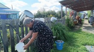 Вот так с утра и бывает.Жизнь в деревне