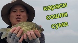 Наловил ведро карасей за 15 минут. карась клюёт как из пулемёта #fishing