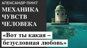 Механика чувств человека. Безусловная и обусловленная любовь.