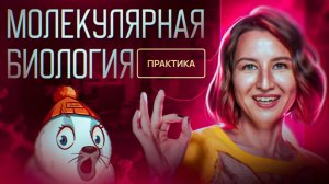 Молекулярная биология | ЕГЭ-2025 по биологии