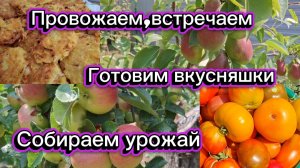 09-08-2026//Кубань//Провожаем друзей, встречаем детей//Готовим вкусняшки//Собираем урожай//Наш сад//