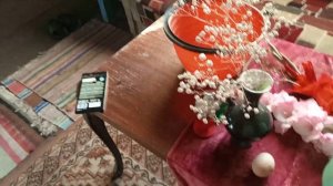 Хм... ЭТО что за КАБАЧКИ? / ПОКАЗАЛА ОБНОВУ но не ВСЕ / ДОПИЛИЛ