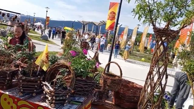 Фестиваль Старательский фарт 2026.Магадан парк Дюкча.
