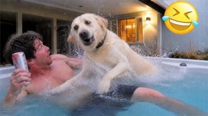 Животные, Которые Рождены, Чтобы Быть Смешными  Самое Смешное Видео О Животных