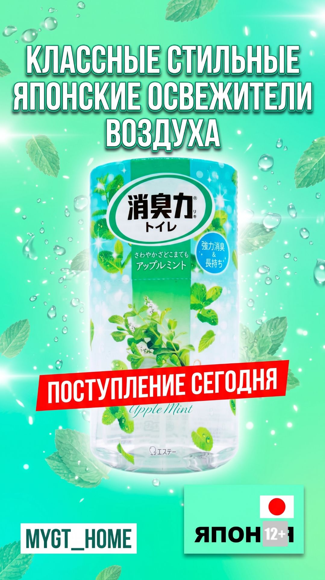 КЛАССНЫЕ СТИЛЬНЫЕ ЯПОНСКИЕ ОСВЕЖИТЕЛИ ВОЗДУХА - ПОСТУПЛЕНИЕ СЕГОДНЯ - MYGT_HOME