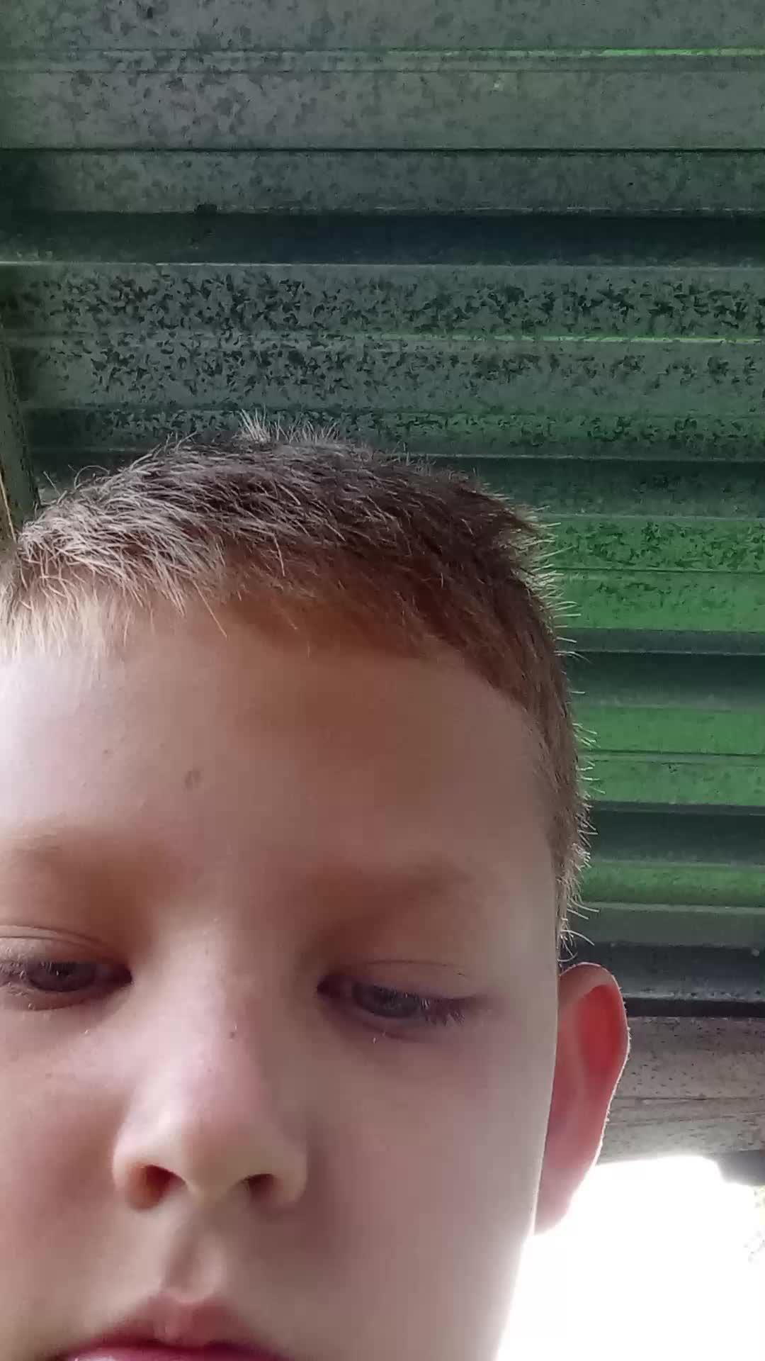 банный лес