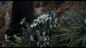 Русский трейлер 🎬