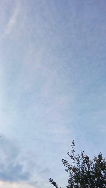 С Добрым Утречком 🌄