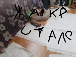 жарко стала