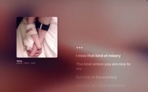 Pupsies - Misery. (Lyrics) - MAYELEVRSE (2026)