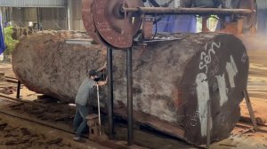 Огромное дерево распиливают на доски. Удивительная деревообработка. Большие лесопильные станки