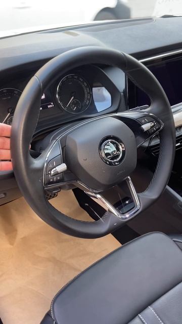#skodaoctavia#car-карыч#китай#