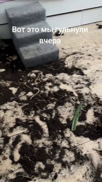 09-08-2026