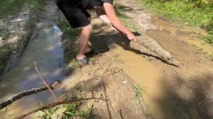 Когда тебе за 30 ты пошёл в лес прогуляться 😀 вспомнили детство