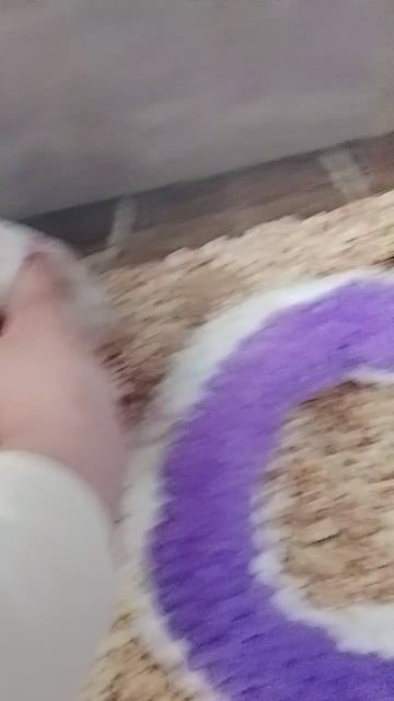 КаКиЕ щЁкИ  😆😄😂. 
🌅