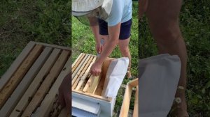 Работа на пасеке