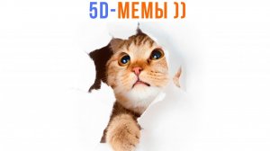 5D-мемы. ПУСТИТЕ ПОРЖАТЬ! ))) Приколы