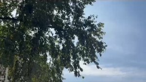 Туча Тушканчик-Гимн Торбеево(клип)