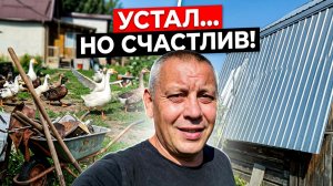 😭 УСТАЛ ДО ЧЕРТИКОВ, НО Я СЧАСТЛИВ! Августовский БАРДАК в Сибири: куры бесят, а КРЫША РАДУЕТ 💪