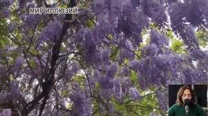 Старый чемодан