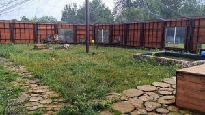 Повторюшка