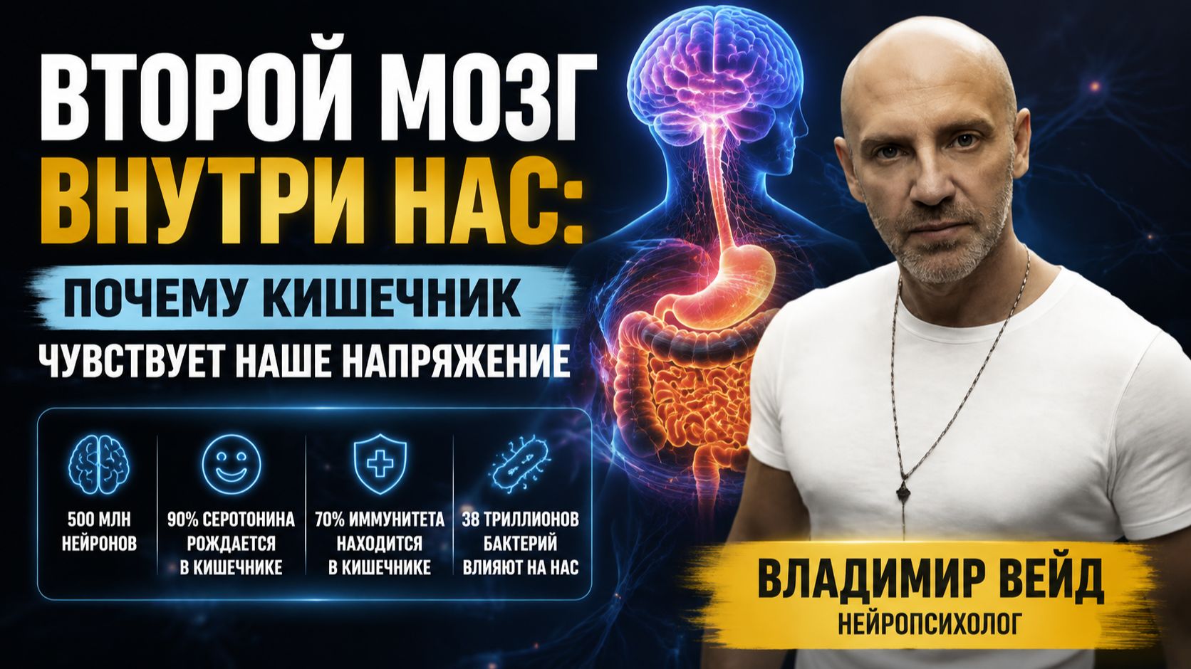 Владимир Вейд. Второй мозг внутри нас: почему кишечник чувствует наше напряжение