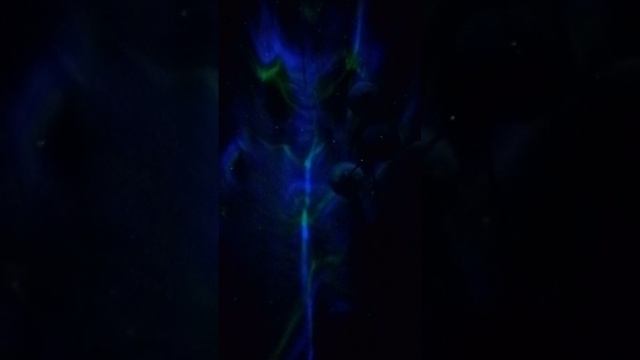 1000137505.mp4