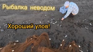 Рыбалка на тугуна! 2026!Теща и тесть в деле! Рыбалка как всегда удалась!