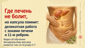 Где печень не болит, но капсула помнит: деликатная работа с зонами печени и 11-м ребром