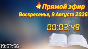 Прямой эфир. Священник Константин Мальцев