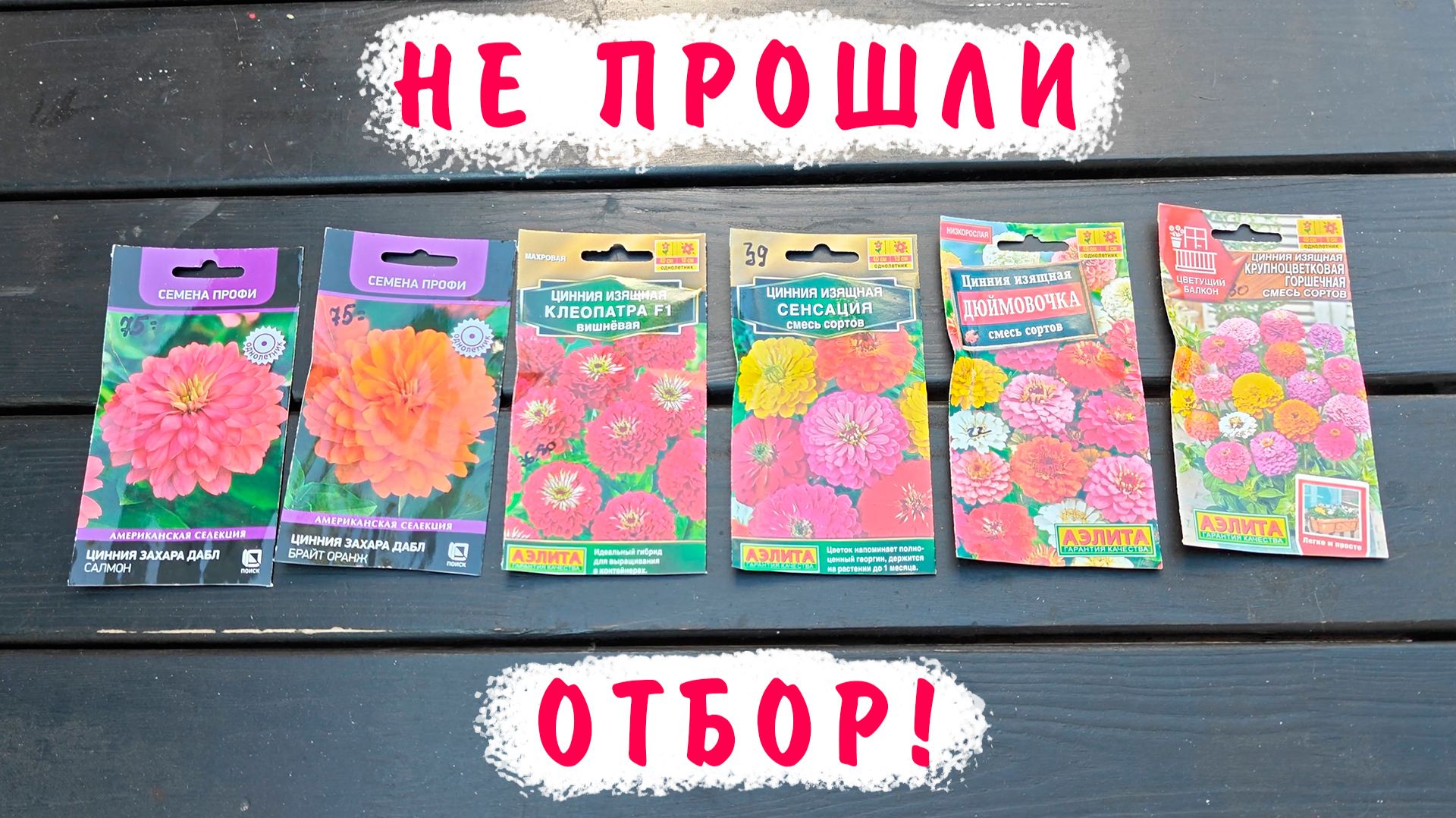 Какие цинии НЕ буду выращивать!
