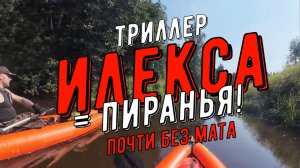 Илекса это Пиранья, или история несложившейся любви почти без мата. Не про SUPы...
